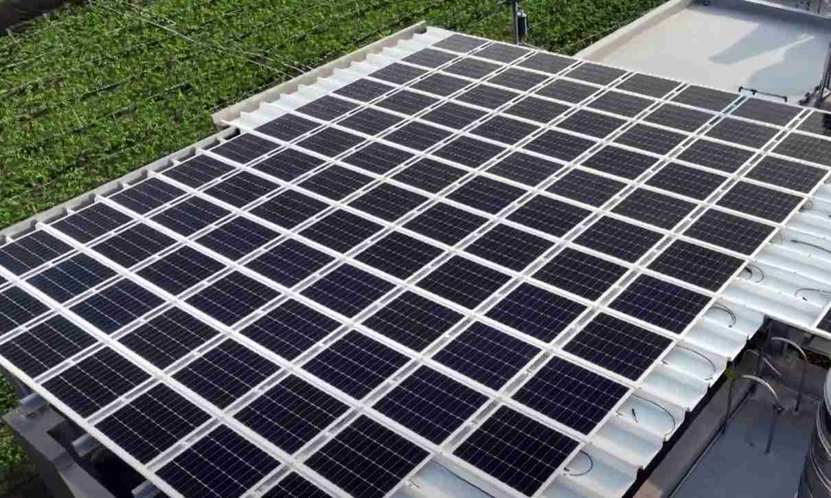 巨星国际SunSteel光电浪板升级双玻结构，，以提升机械负载强度及气候耐候度，，，，可广泛运用于多元场域